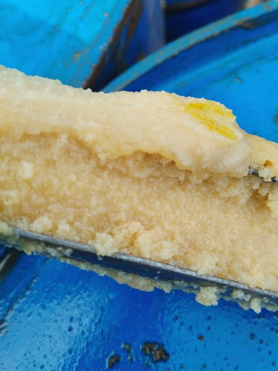 COW/BUFFALO TALLOW