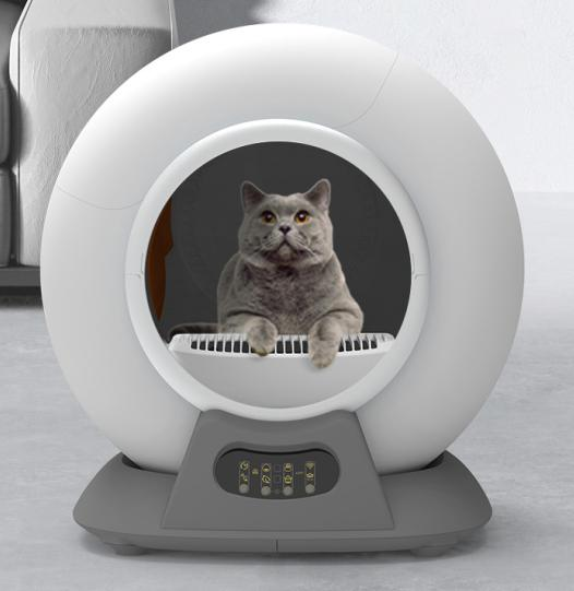 cat litter box